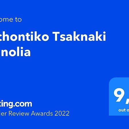 Archontiko Tsaknaki Manolia 호텔 Áno Lekhónia 외부 사진